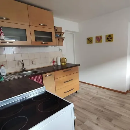 V Banskej Bystrici - Dom S Terasou, Free Private Parking Holiday home *